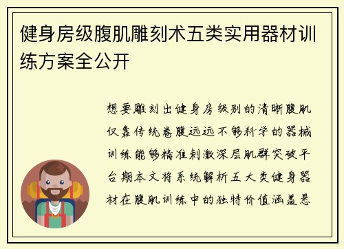 健身房级腹肌雕刻术五类实用器材训练方案全公开