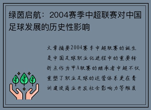 绿茵启航：2004赛季中超联赛对中国足球发展的历史性影响